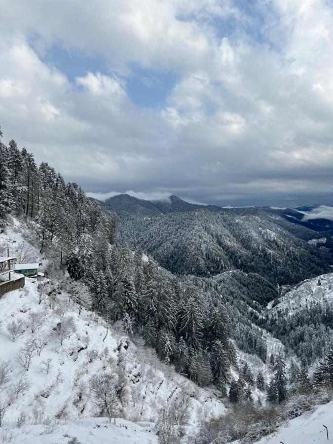 Homestay Pahadi House Narkanda